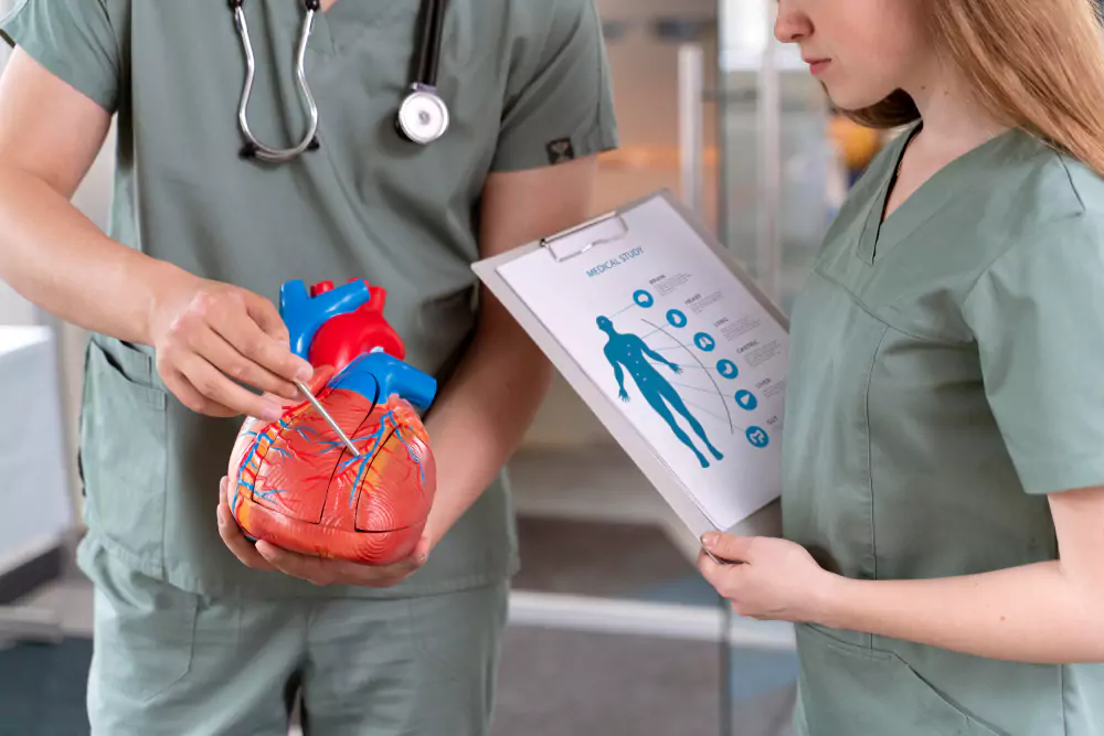 Cardiology Services